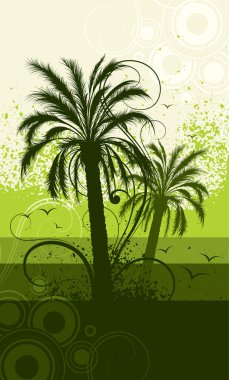 palmiye ağaçları ile kompozisyon