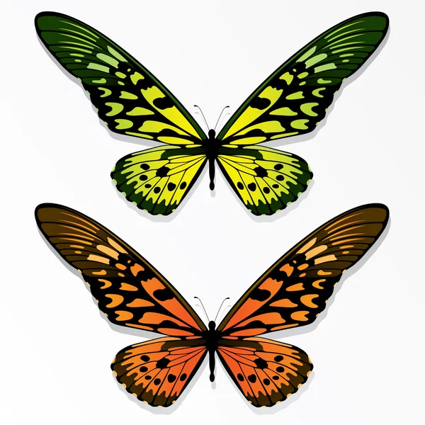 Motyl — Wektor stockowy