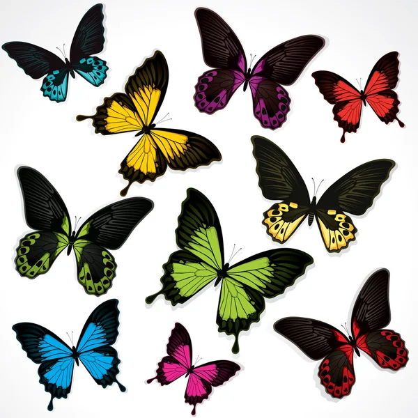 Schmetterlinge — Stockvektor
