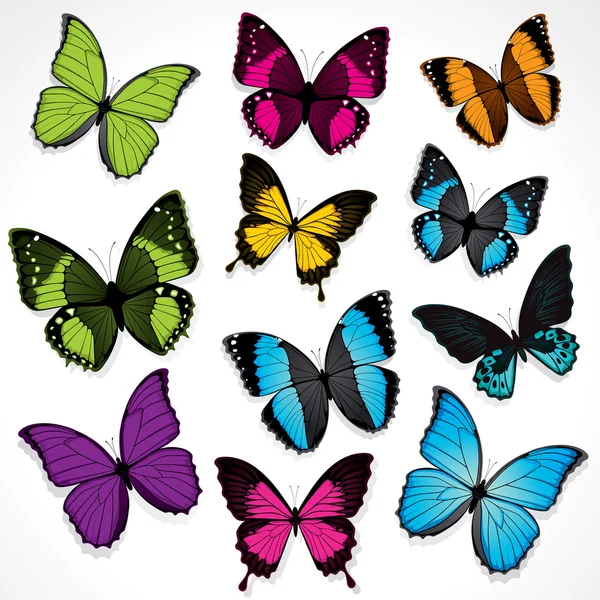 Fjärilar — Stock vektor