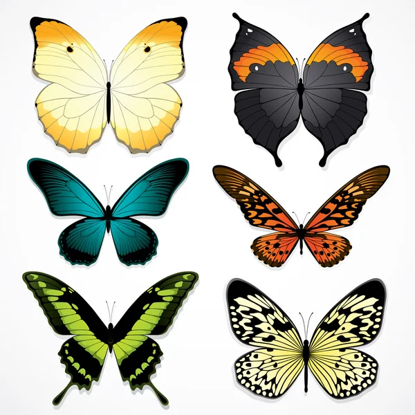 Schmetterlinge — Stockvektor
