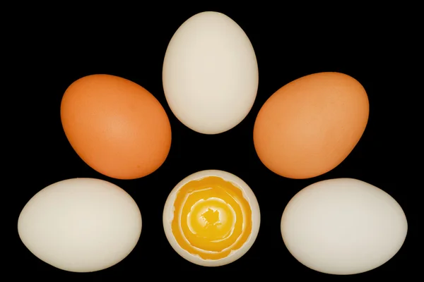 stock image Six eggs