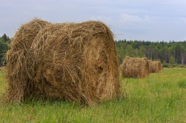 haystacks