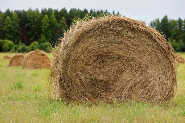 Haystacks and straw — Stock Photo, Image