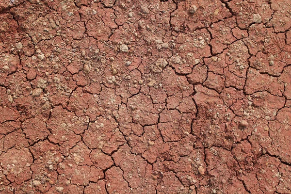 Cracks red earth — Stock Photo, Image
