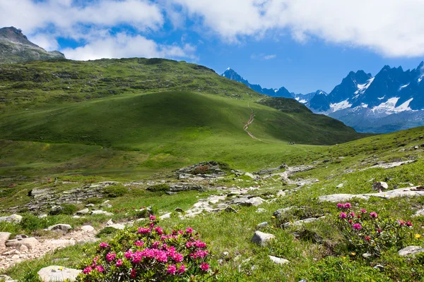 Uma bela vista dos alpes franceses — Fotografia de Stock