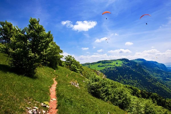 Paragliding in the blue sky in summer — Stock Photo, Image