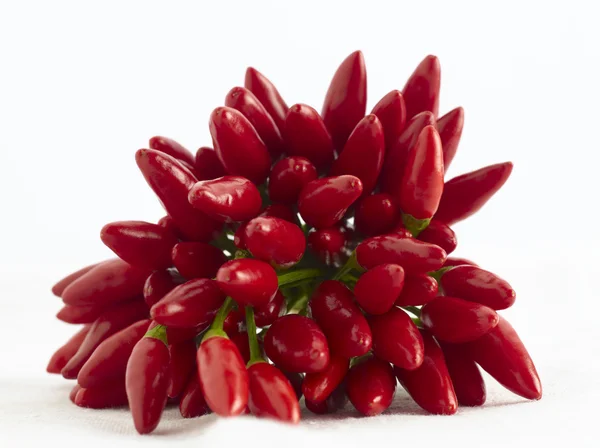 Κόκκινη καυτερή πιπεριά σε άσπρο φόντο — Φωτογραφία Αρχείου