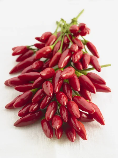 Κόκκινη καυτερή πιπεριά σε άσπρο φόντο — Φωτογραφία Αρχείου