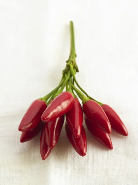 Red hot chilli papričkou na bílém pozadí — Stock fotografie