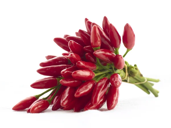 Peperoncino piccante rosso su sfondo bianco — Foto Stock