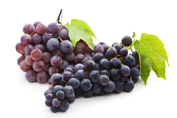 Red grape Royalty Free Stock Images