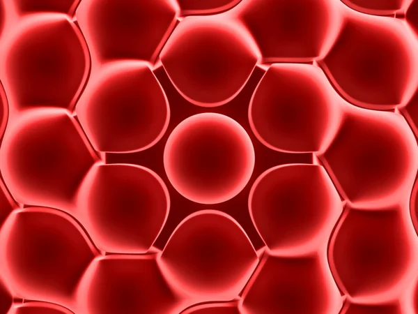Röda blodkroppar — Stockfoto