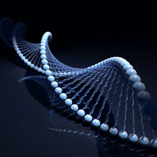 Cordas de ADN Fotografia De Stock