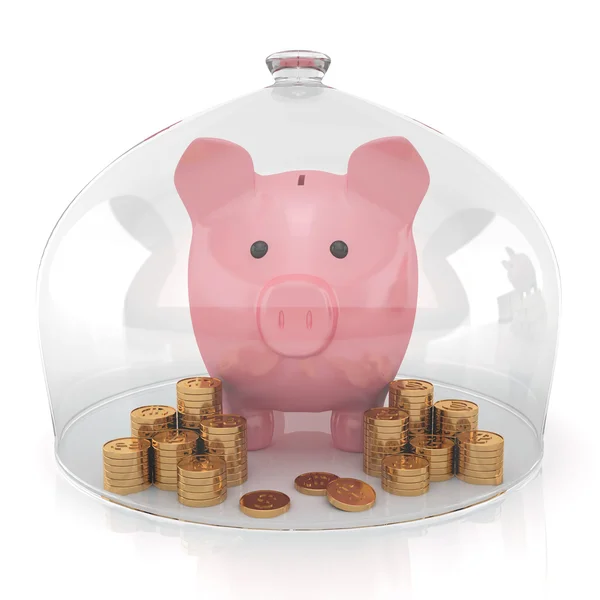 Piggy banco e dinheiro sob a proteção — Fotografia de Stock