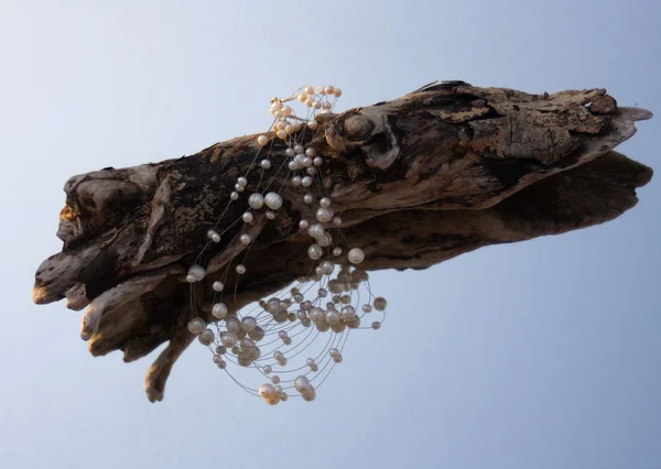 Holz mit Perlen treiben — Stockfoto