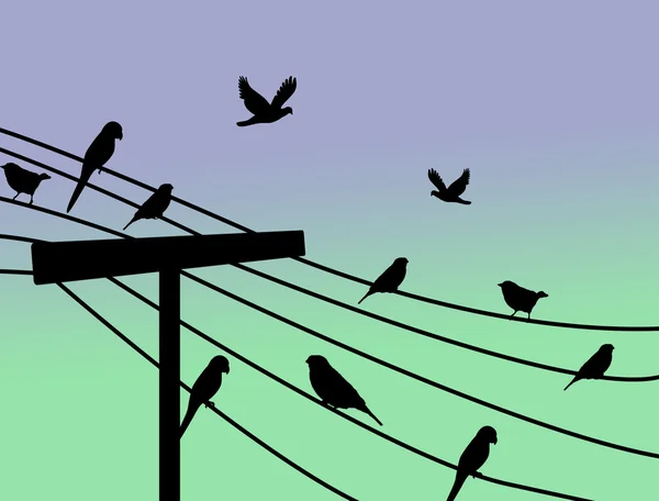 Vögel stehen auf Draht — Stockvektor
