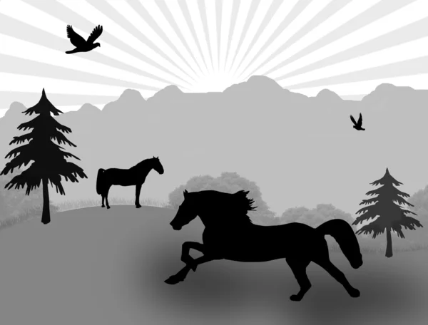 Cavalo selvagem na paisagem —  Vetores de Stock