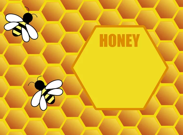 꿀벌과 벌집의 배경 — 스톡 벡터
