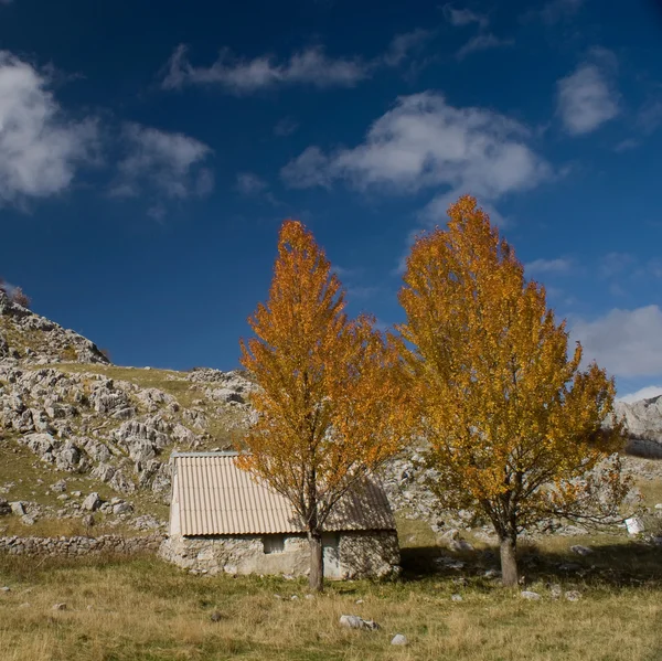 stock image Mountain Small House