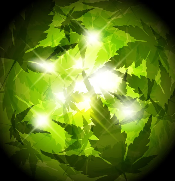 Feuilles fraîches vert printemps fond abstrait — Image vectorielle