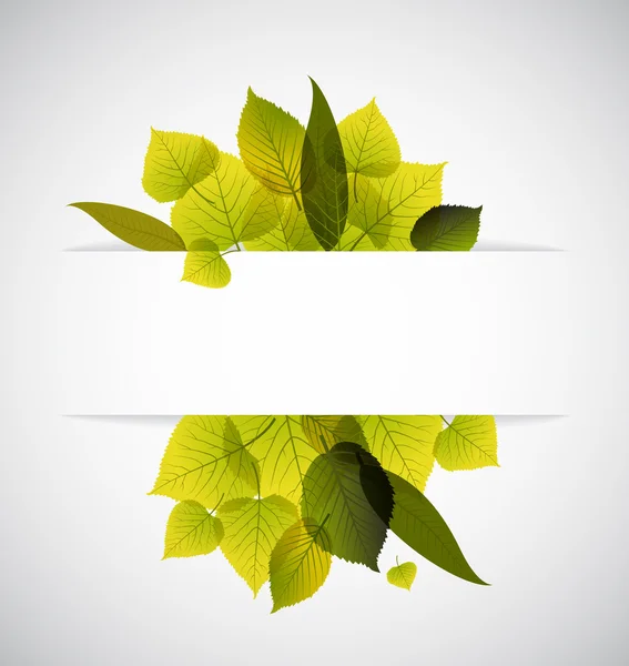 Våren leafs abstrakt bakgrund — Stock vektor