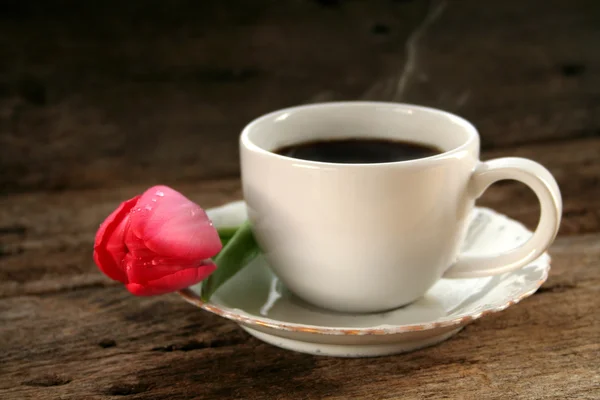 Heißer Kaffee und eine Tulpe — Stockfoto
