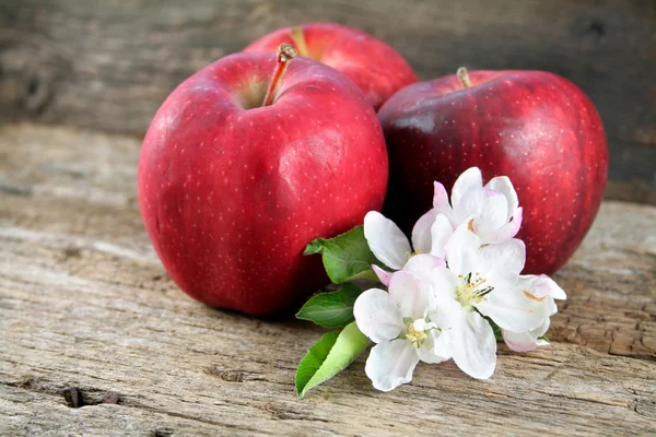 Red Apples — Stock Photo, Image
