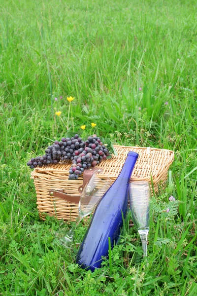 Корзина для пикника и вино — стоковое фото
