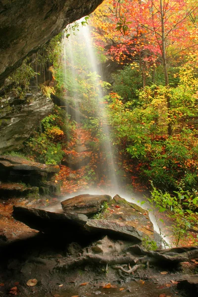 Waterfall Autumn — Stock Photo, Image
