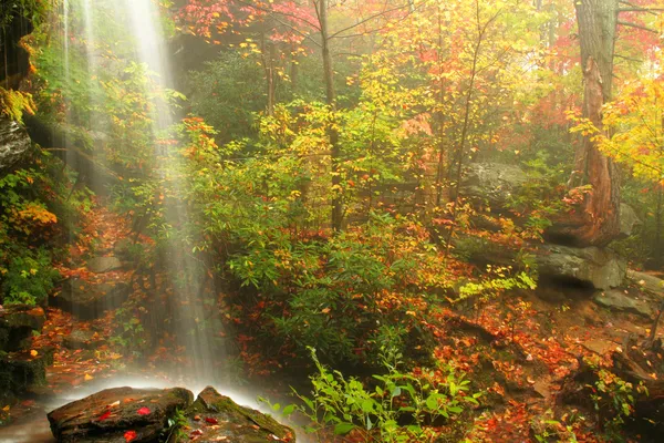 Vodopád na podzim Stock Obrázky