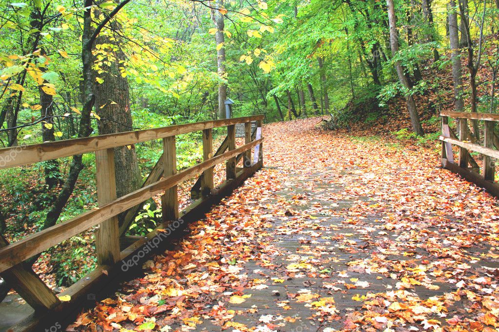 Wooden Bridge Stock Photo by ©thephotoguy 5209681