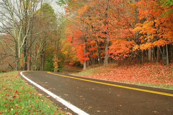 Droga z kolory jesieni — Zdjęcie stockowe