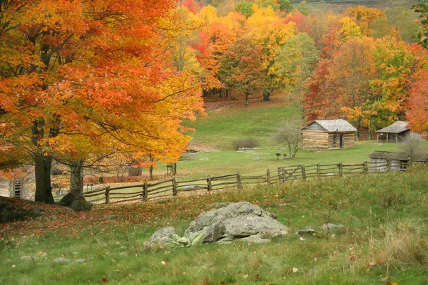 Herbstblick Stockbild