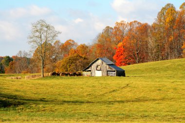 Country Barn clipart