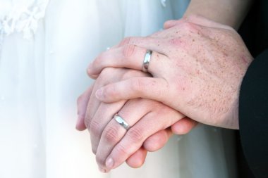 Bride and groom's hands clipart