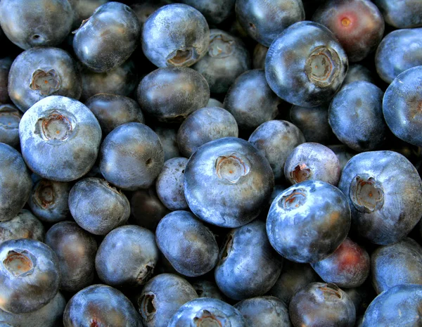 Blueberry háttér — Stock Fotó