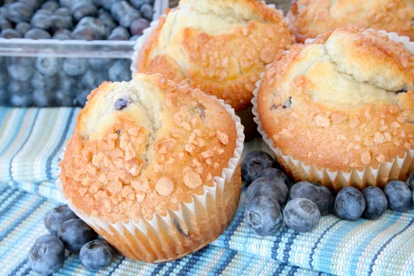 Borůvkové muffiny — Stock fotografie