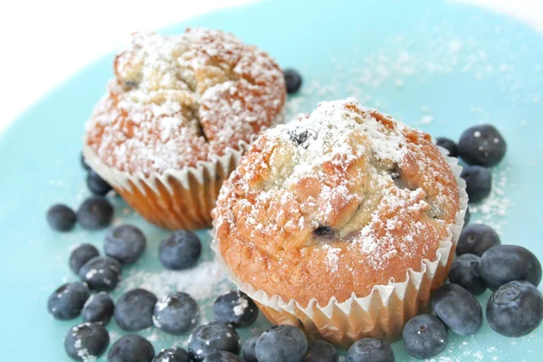 Fresh Blueberry Muffins — Stock Photo, Image