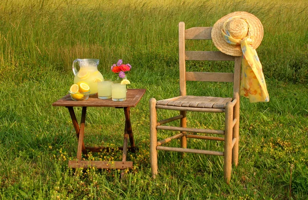 Summer Evening with Lemonade — Stock Photo, Image