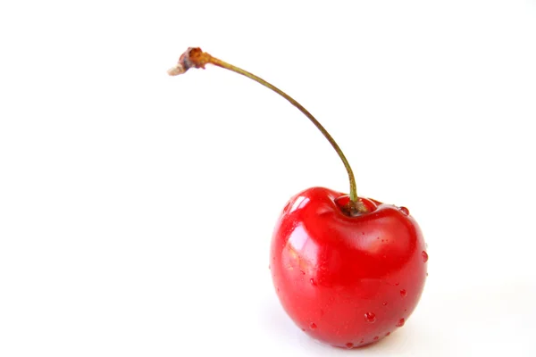 One Cherry — Stock Photo, Image