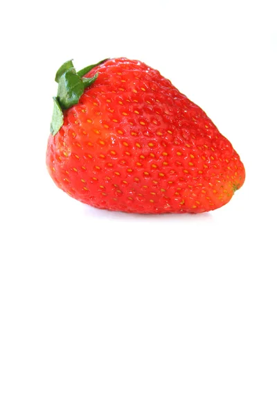 One Strawberry — Stock Photo, Image