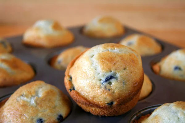 Fresh Muffins — Stock Photo, Image