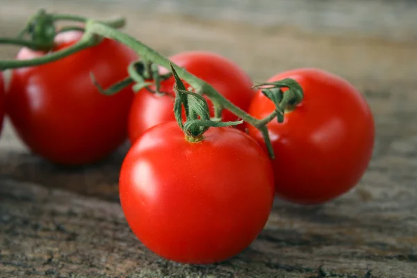 Pomidory winorośli — Zdjęcie stockowe