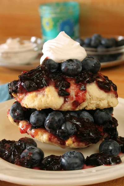 Blueberry Shortcake — Stock Fotó