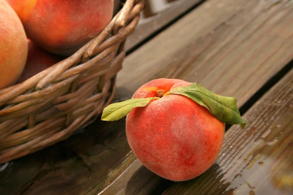 Färsk persika — Stockfoto