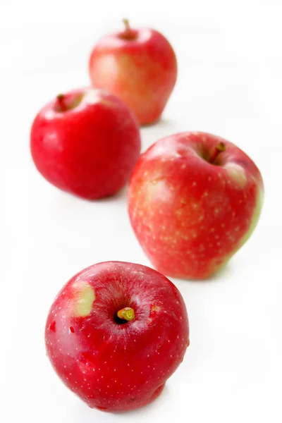 Geïsoleerde appels — Stockfoto