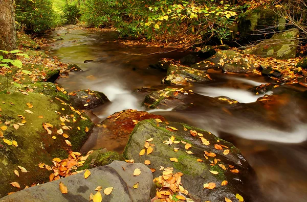 Autumn Stream — Stock Photo, Image