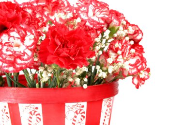 Carnations clipart