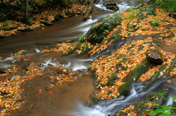 Fall Creek. — Fotografia de Stock